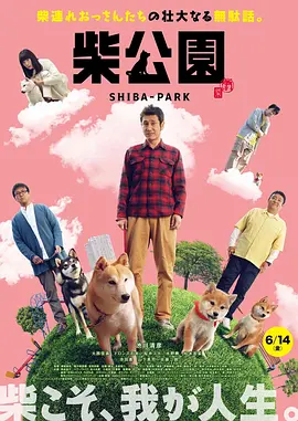 影音先锋av中文