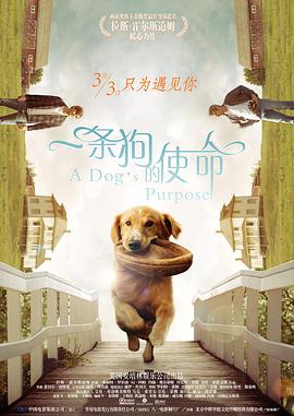成r视频免费观看在线播放